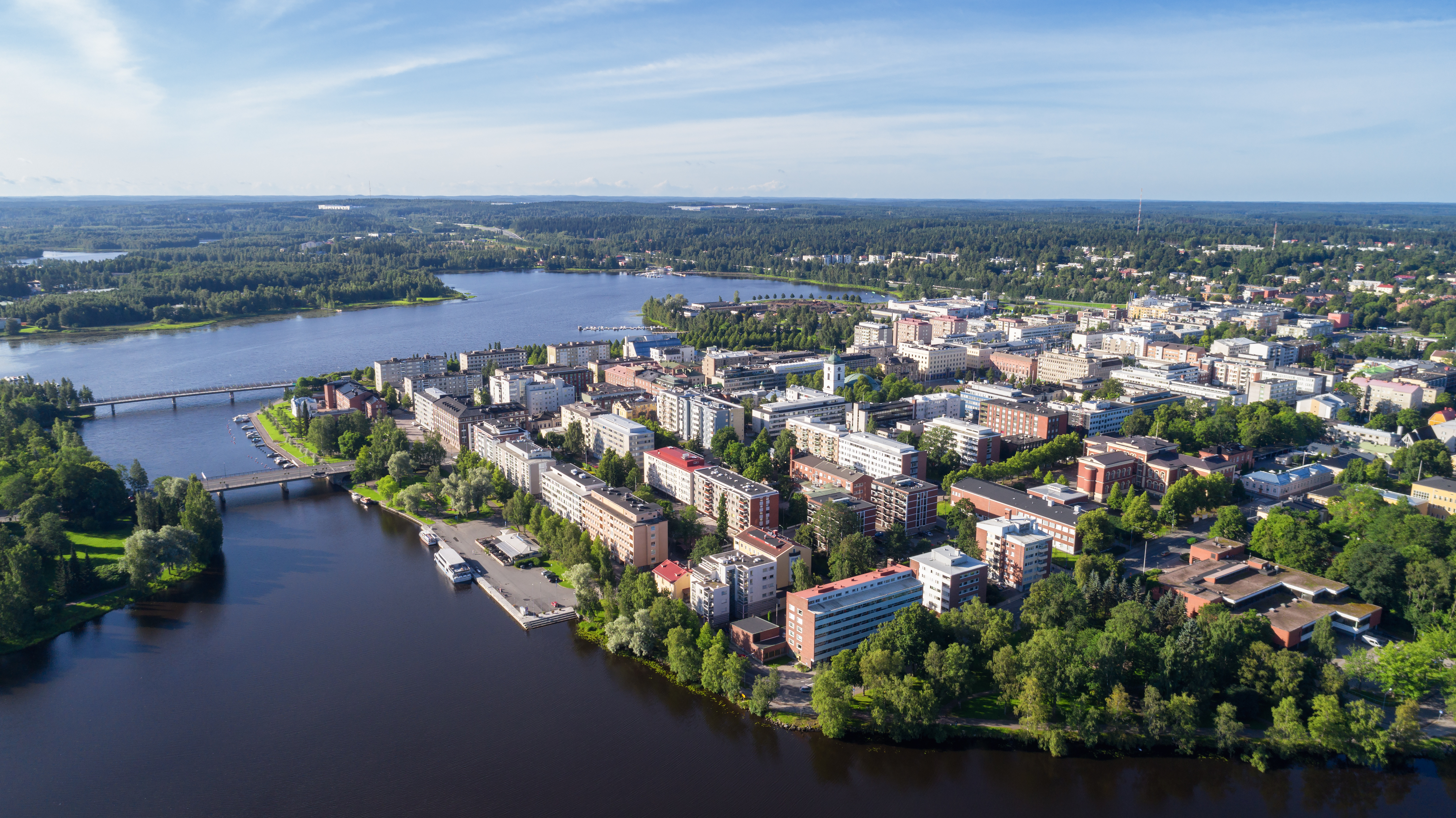 Lokkiprojekti jatkuu Hämeenlinnassa